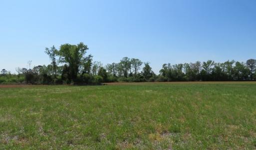 Photo #8 of SOLD property in Boyd Road, Fairmont, NC 20.1 acres