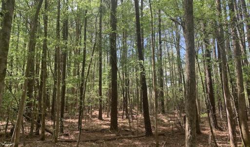Photo #16 of SOLD property in Off Reges Store Road , Nashville, NC 27.1 acres