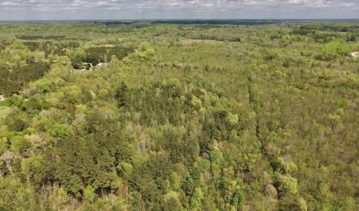 Photo #25 of SOLD property in Off Reges Store Road , Nashville, NC 27.1 acres