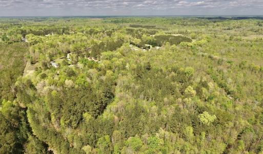 Photo #26 of SOLD property in Off Reges Store Road , Nashville, NC 27.1 acres