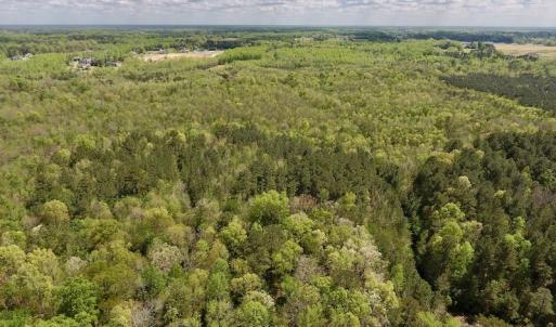 Photo #28 of SOLD property in Off Reges Store Road , Nashville, NC 27.1 acres