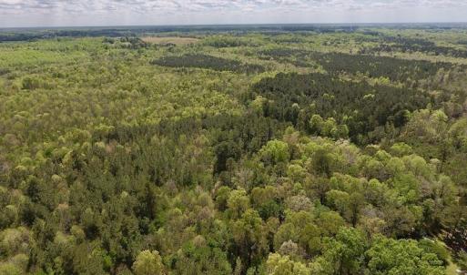 Photo #29 of SOLD property in Off Reges Store Road , Nashville, NC 27.1 acres