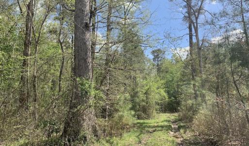 Photo #3 of SOLD property in Off Reges Store Road , Nashville, NC 27.1 acres