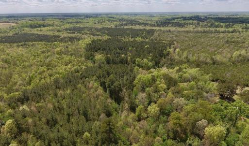 Photo #30 of SOLD property in Off Reges Store Road , Nashville, NC 27.1 acres