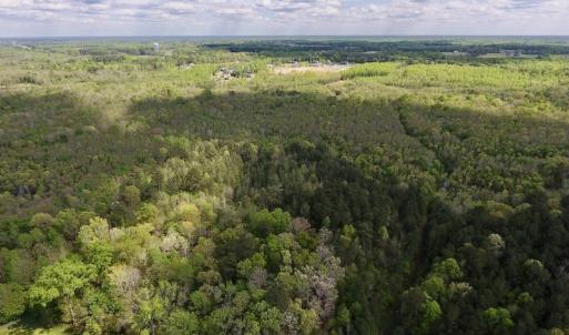 Photo #39 of SOLD property in Off Reges Store Road , Nashville, NC 27.1 acres