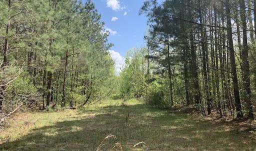 Photo #5 of SOLD property in Off Reges Store Road , Nashville, NC 27.1 acres