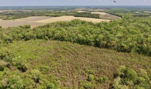 Photo #8 of SOLD property in Off Lewis Haddock Road , Grifton, NC 46.7 acres