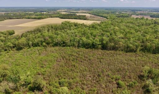 Photo #9 of SOLD property in Off Lewis Haddock Road , Grifton, NC 46.7 acres