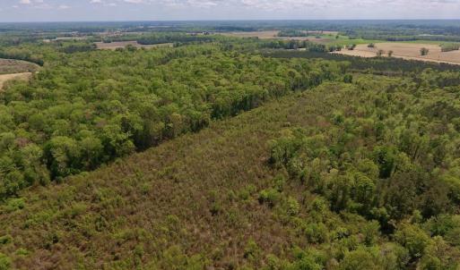 Photo #10 of SOLD property in Off Lewis Haddock Road , Grifton, NC 46.7 acres