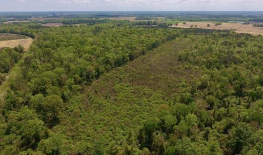Photo #11 of SOLD property in Off Lewis Haddock Road , Grifton, NC 46.7 acres