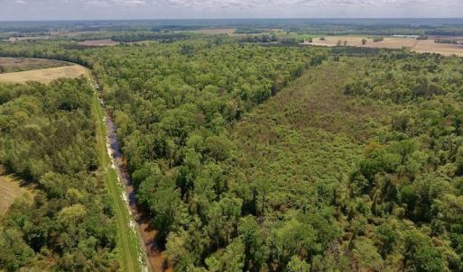 Photo #12 of SOLD property in Off Lewis Haddock Road , Grifton, NC 46.7 acres