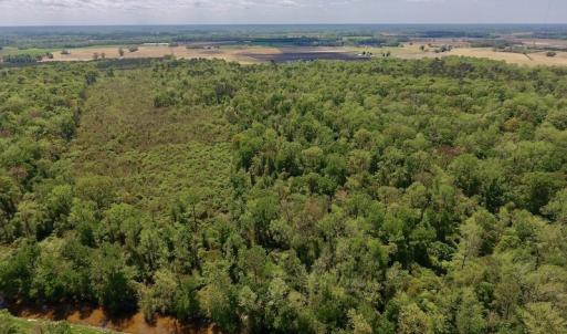 Photo #13 of SOLD property in Off Lewis Haddock Road , Grifton, NC 46.7 acres