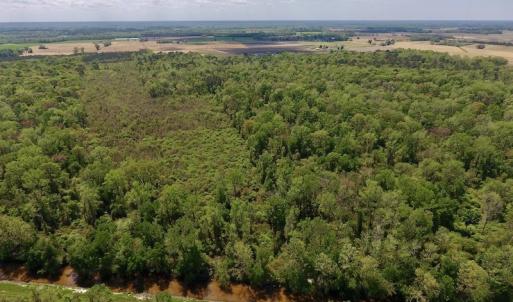 Photo #14 of SOLD property in Off Lewis Haddock Road , Grifton, NC 46.7 acres