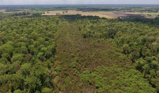 Photo #15 of SOLD property in Off Lewis Haddock Road , Grifton, NC 46.7 acres