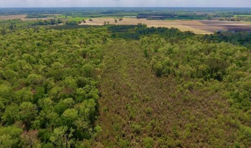 Photo #16 of SOLD property in Off Lewis Haddock Road , Grifton, NC 46.7 acres