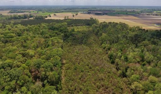Photo #17 of SOLD property in Off Lewis Haddock Road , Grifton, NC 46.7 acres