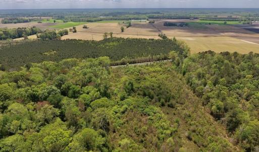Photo #19 of SOLD property in Off Lewis Haddock Road , Grifton, NC 46.7 acres