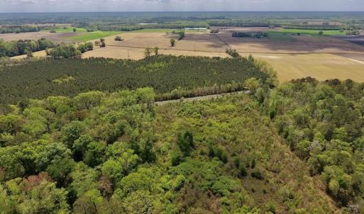 Photo #20 of SOLD property in Off Lewis Haddock Road , Grifton, NC 46.7 acres