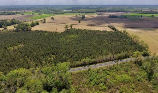 Photo #21 of SOLD property in Off Lewis Haddock Road , Grifton, NC 46.7 acres