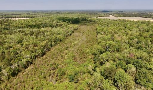 Photo #22 of SOLD property in Off Lewis Haddock Road , Grifton, NC 46.7 acres