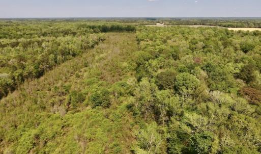 Photo #23 of SOLD property in Off Lewis Haddock Road , Grifton, NC 46.7 acres