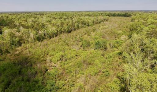 Photo #24 of SOLD property in Off Lewis Haddock Road , Grifton, NC 46.7 acres