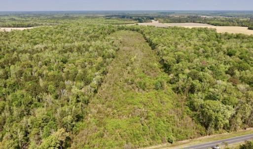Photo #3 of SOLD property in Off Lewis Haddock Road , Grifton, NC 46.7 acres