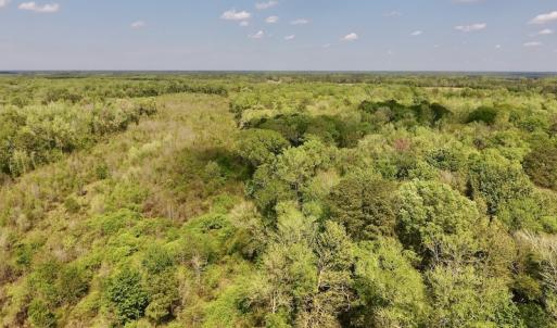 Photo #26 of SOLD property in Off Lewis Haddock Road , Grifton, NC 46.7 acres