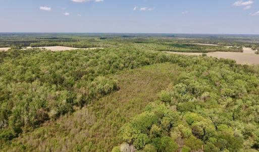 Photo #27 of SOLD property in Off Lewis Haddock Road , Grifton, NC 46.7 acres