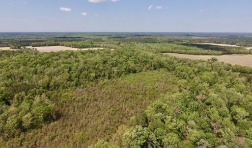 Photo #28 of SOLD property in Off Lewis Haddock Road , Grifton, NC 46.7 acres