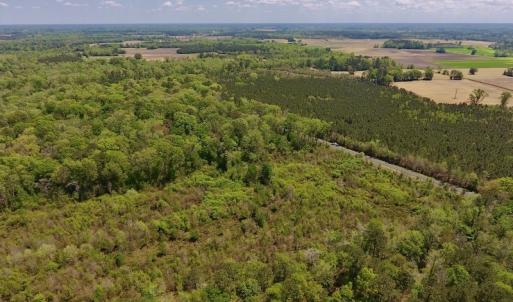 Photo #6 of SOLD property in Off Lewis Haddock Road , Grifton, NC 46.7 acres