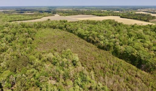 Photo #7 of SOLD property in Off Lewis Haddock Road , Grifton, NC 46.7 acres