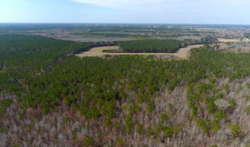 Photo #3 of SOLD property in 1975 Old Tram Road, Whiteville , NC 78.0 acres
