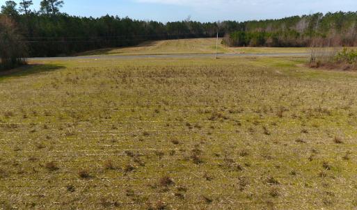 Photo #5 of SOLD property in 1975 Old Tram Road, Whiteville , NC 78.0 acres