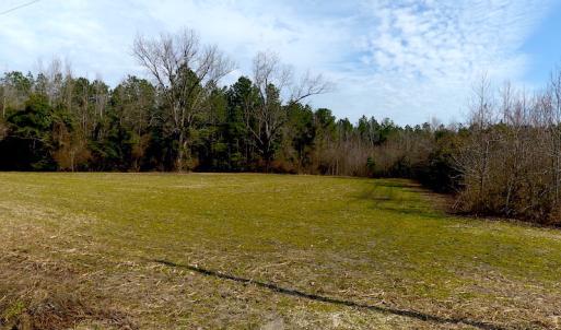 Photo #8 of SOLD property in 1975 Old Tram Road, Whiteville , NC 78.0 acres