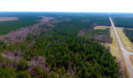 Photo #9 of SOLD property in 1975 Old Tram Road, Whiteville , NC 78.0 acres