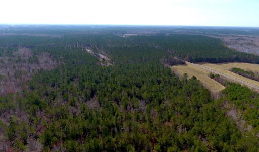 Photo #10 of SOLD property in 1975 Old Tram Road, Whiteville , NC 78.0 acres