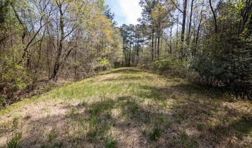 Photo #10 of SOLD property in Off Campground Road , Dunn , NC 14.9 acres