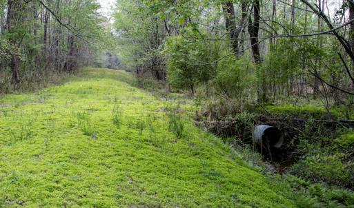 Photo #11 of SOLD property in Off Campground Road , Dunn , NC 14.9 acres