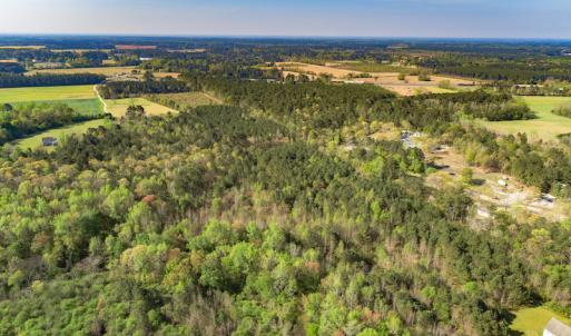 Photo #18 of SOLD property in Off Campground Road , Dunn , NC 14.9 acres