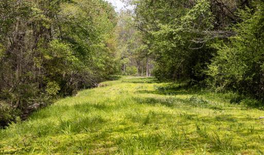 Photo #4 of SOLD property in Off Campground Road , Dunn , NC 14.9 acres