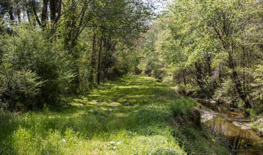 Photo #6 of SOLD property in Off Campground Road , Dunn , NC 14.9 acres