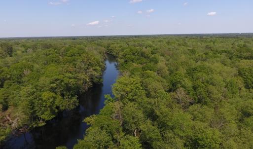 Photo #2 of SOLD property in Causey Rd, Nichols, SC 167.5 acres