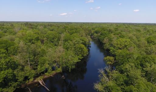 Photo #14 of SOLD property in Causey Rd, Nichols, SC 167.5 acres