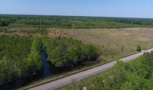 Photo #15 of SOLD property in Causey Rd, Nichols, SC 167.5 acres
