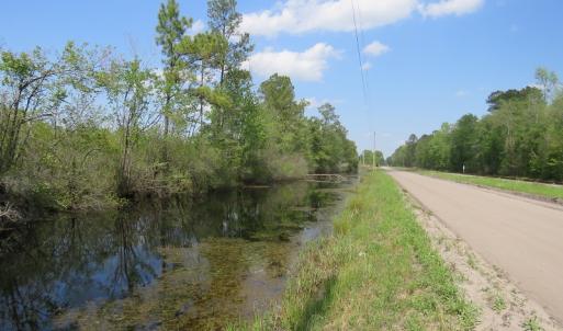 Photo #16 of SOLD property in Causey Rd, Nichols, SC 167.5 acres