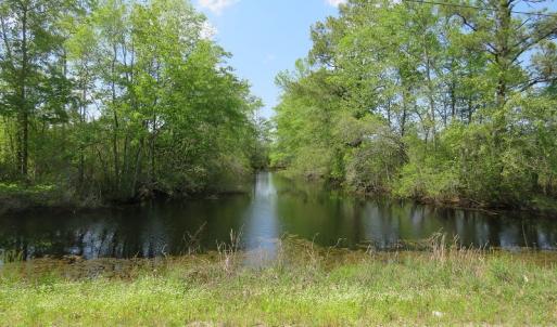 Photo #17 of SOLD property in Causey Rd, Nichols, SC 167.5 acres