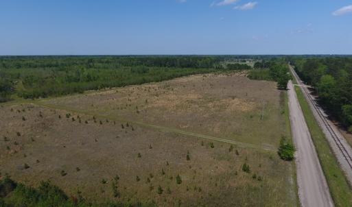 Photo #18 of SOLD property in Causey Rd, Nichols, SC 167.5 acres
