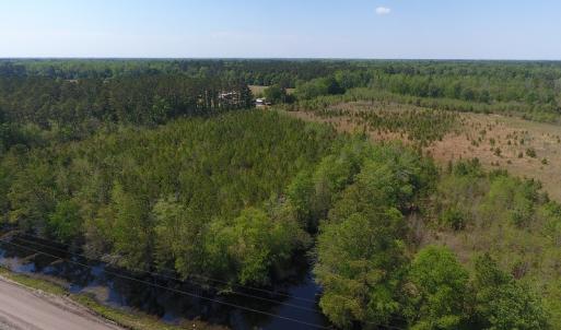 Photo #19 of SOLD property in Causey Rd, Nichols, SC 167.5 acres