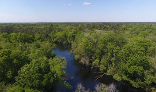 Photo #3 of SOLD property in Causey Rd, Nichols, SC 167.5 acres